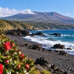 伊豆大島の椿の花と三原山の稜線